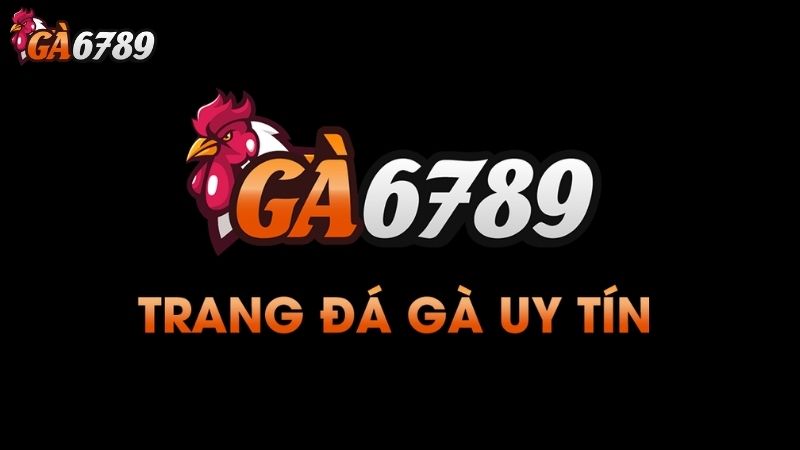 Dịch Vụ Chăm Sóc Trang đá gà uy tín